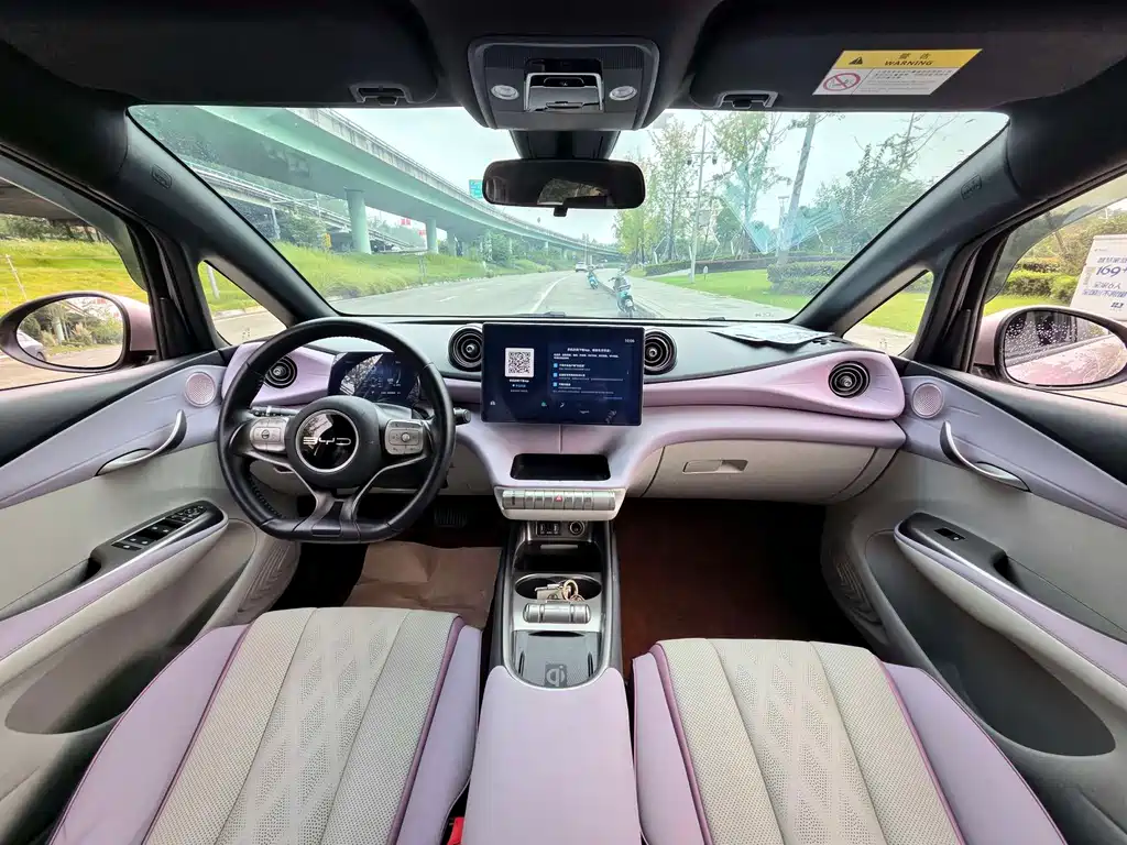 BYD Dolphin — миниатюра 11