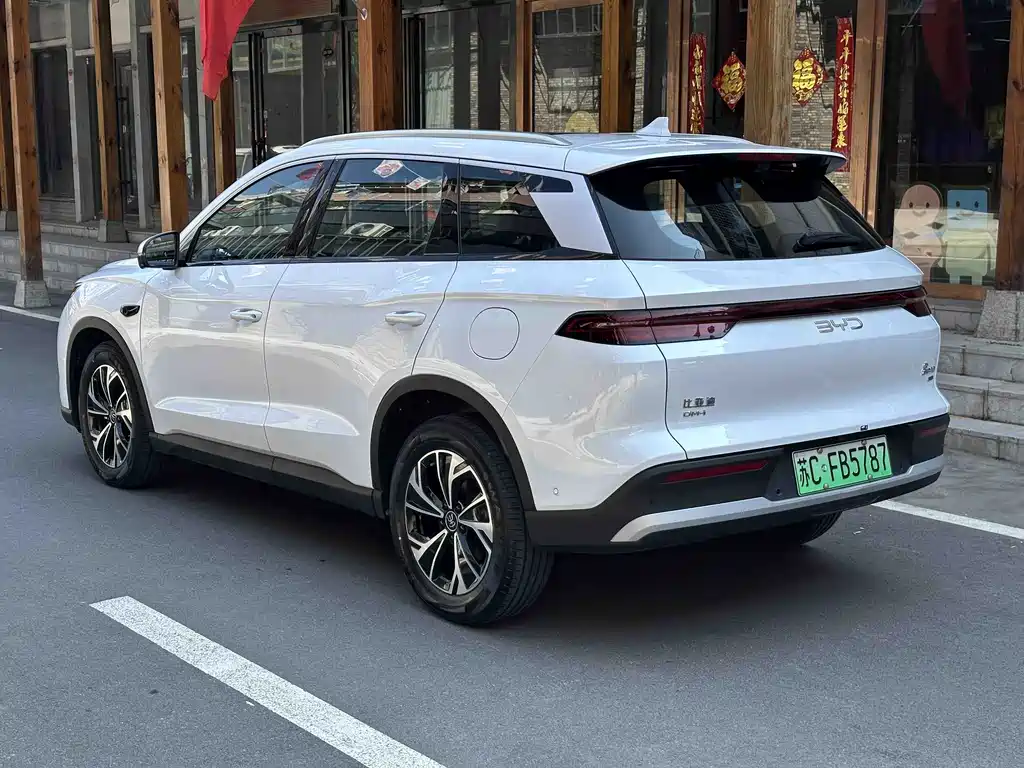 BYD Pro New Energy — миниатюра 11