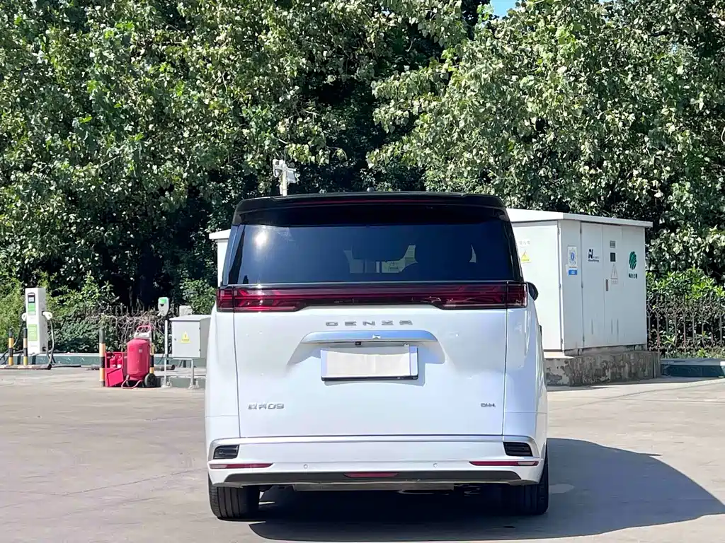 Denza Denza D9 — миниатюра 11