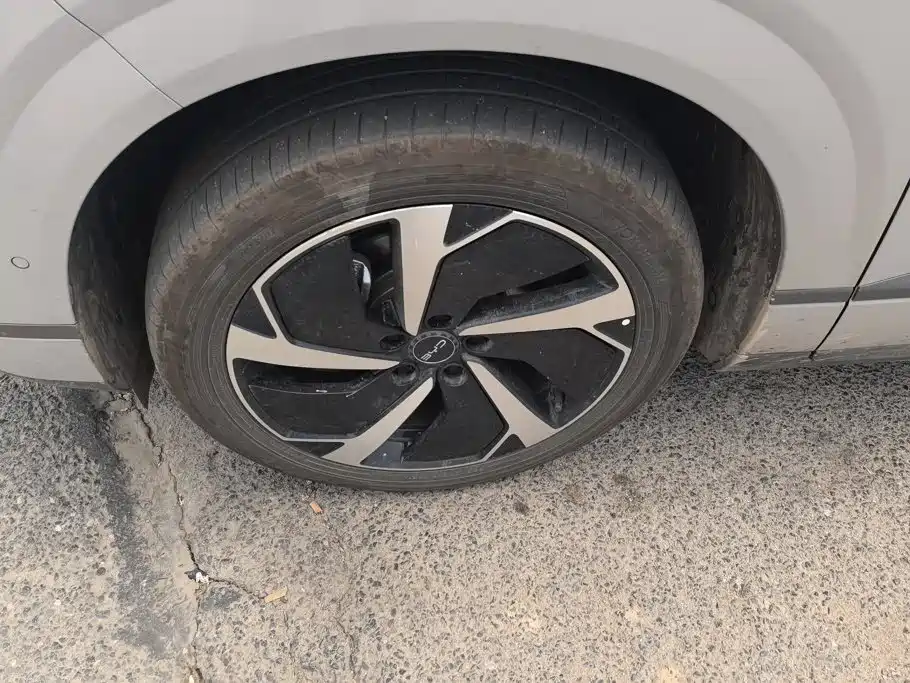 BYD Sealion 06 — миниатюра 6