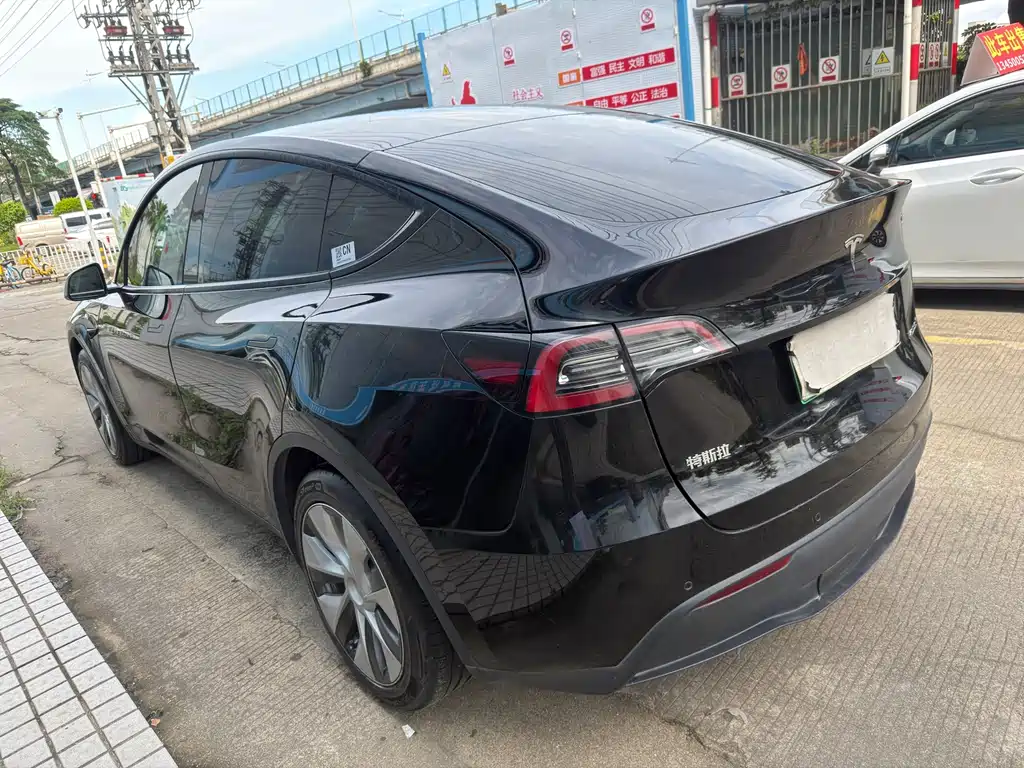 Tesla Model Y — миниатюра 9