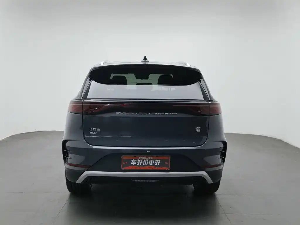 BYD Tang New Energy — миниатюра 4