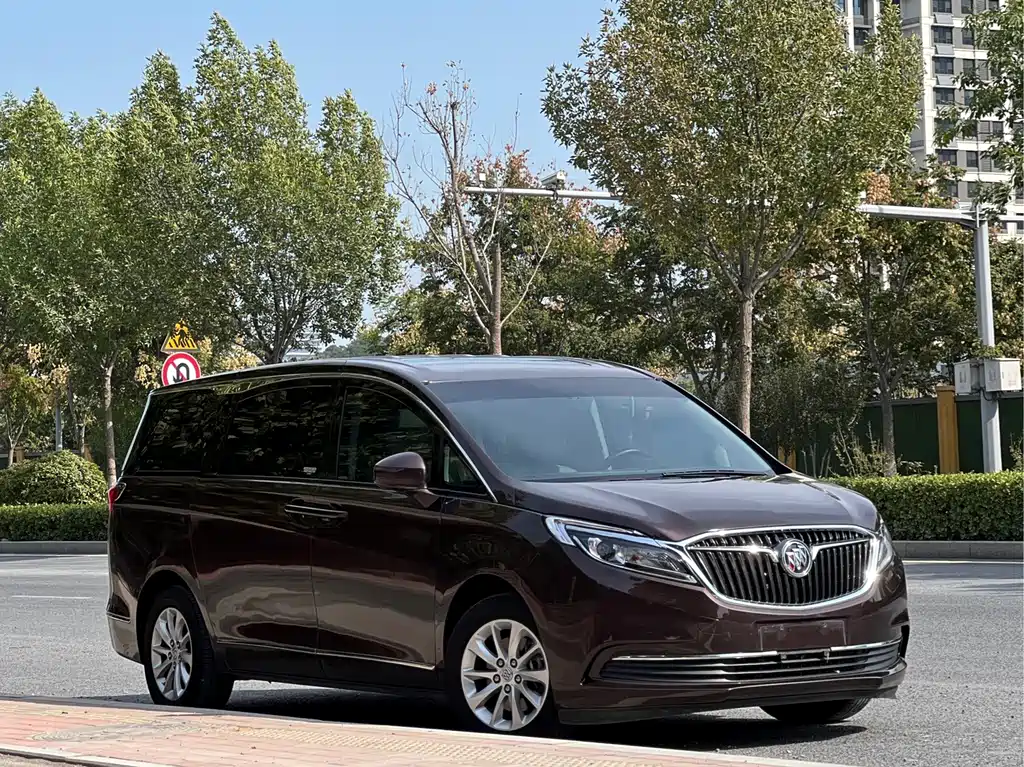 Buick GL8 — миниатюра 3