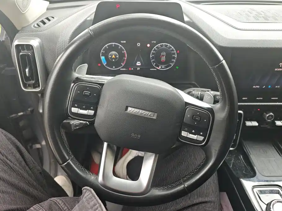 Haval Big Dog — миниатюра 15