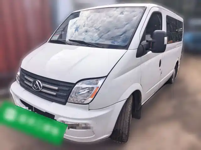 Maxus V80