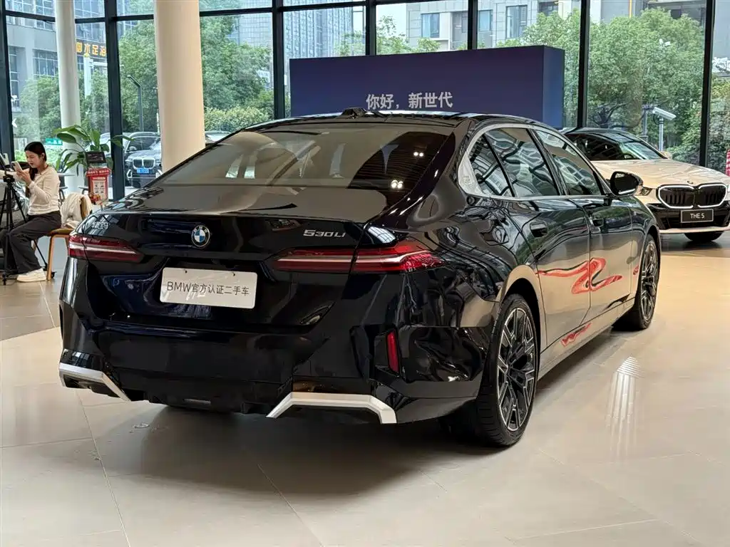 BMW 5 Series — миниатюра 15