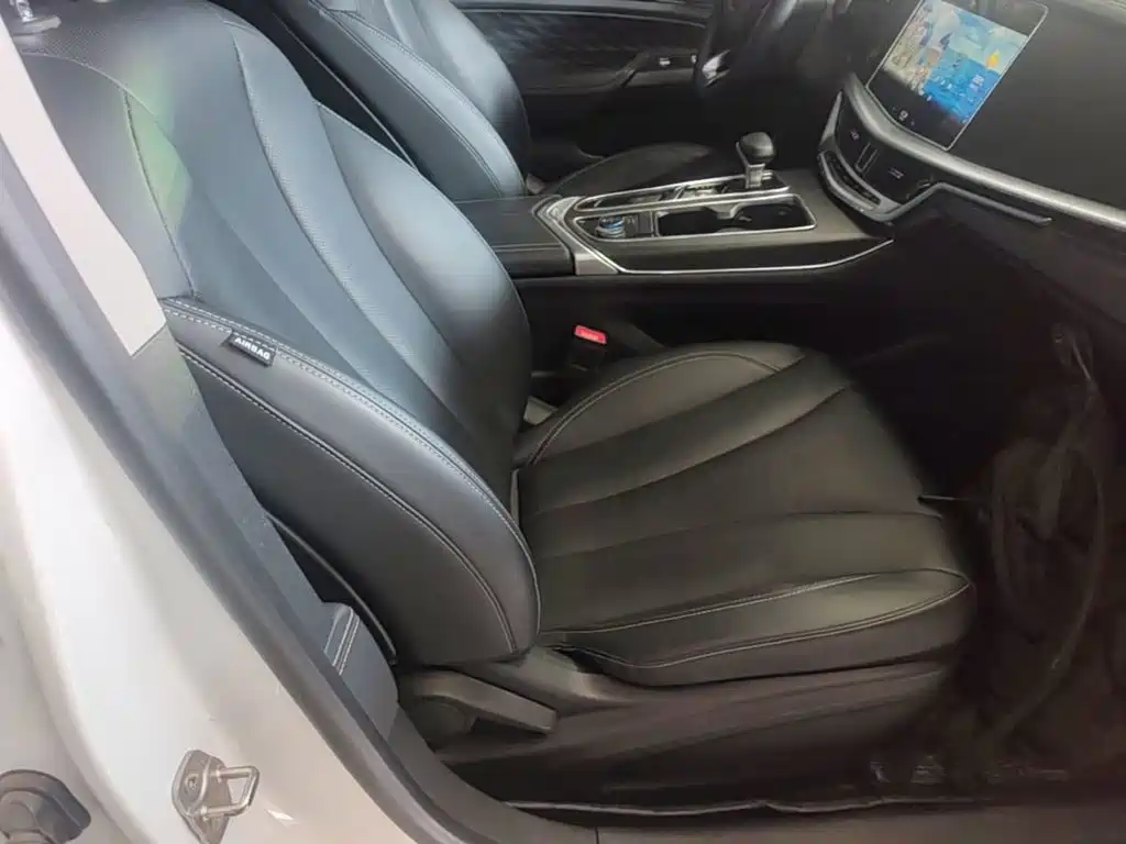 Geely Borui Hybrid 1.5T ePRO Premium Edition, фото 25