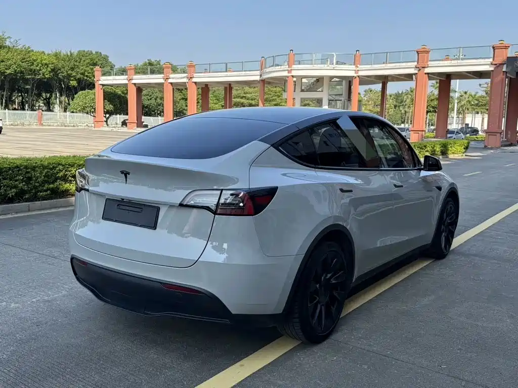 Tesla Model Y — миниатюра 3