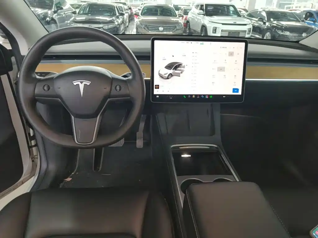 Tesla Model Y — миниатюра 10