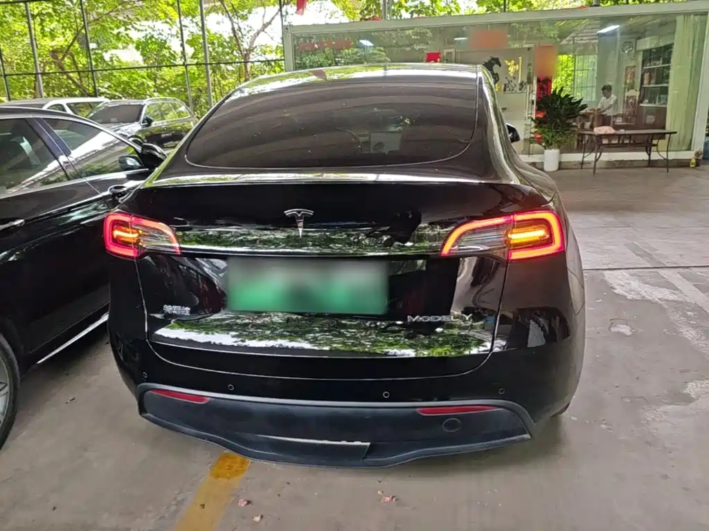 Tesla Model Y — миниатюра 6