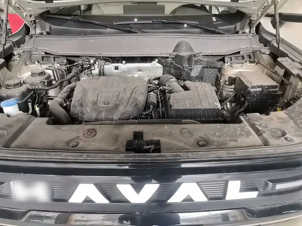 Haval Big Dog PLUS New Energy — миниатюра 20