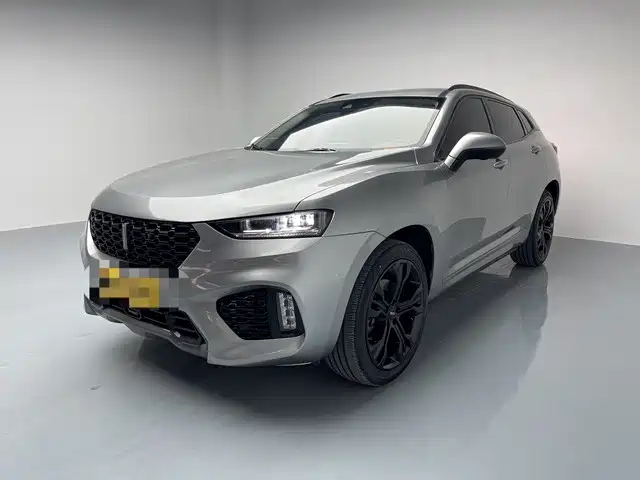 WEI PAI WEI BRAND VV7 2019