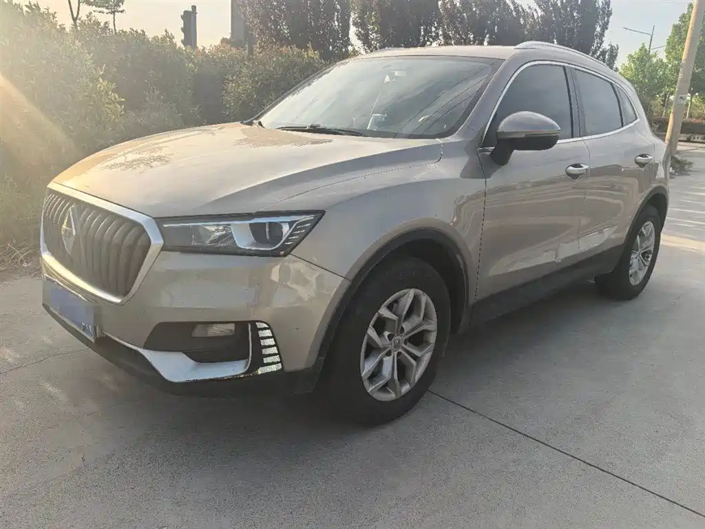 Borgward BX5 2019