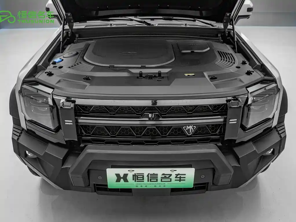 Shanhai Краткосрочный путешественник C-DM — миниатюра 21