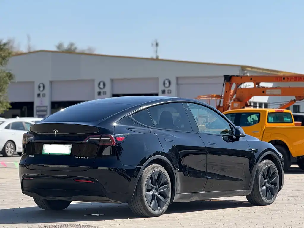 Tesla Model Y — миниатюра 9