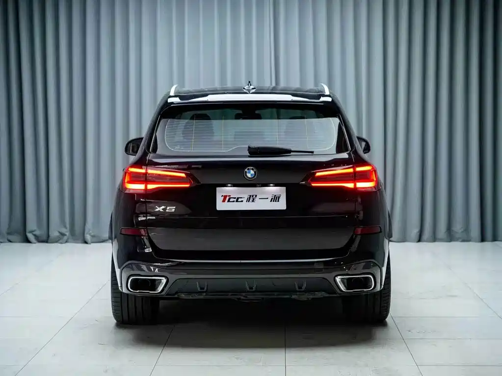 BMW X5 (Import) — миниатюра 10