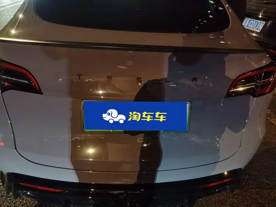 Tesla Model Y — миниатюра 4