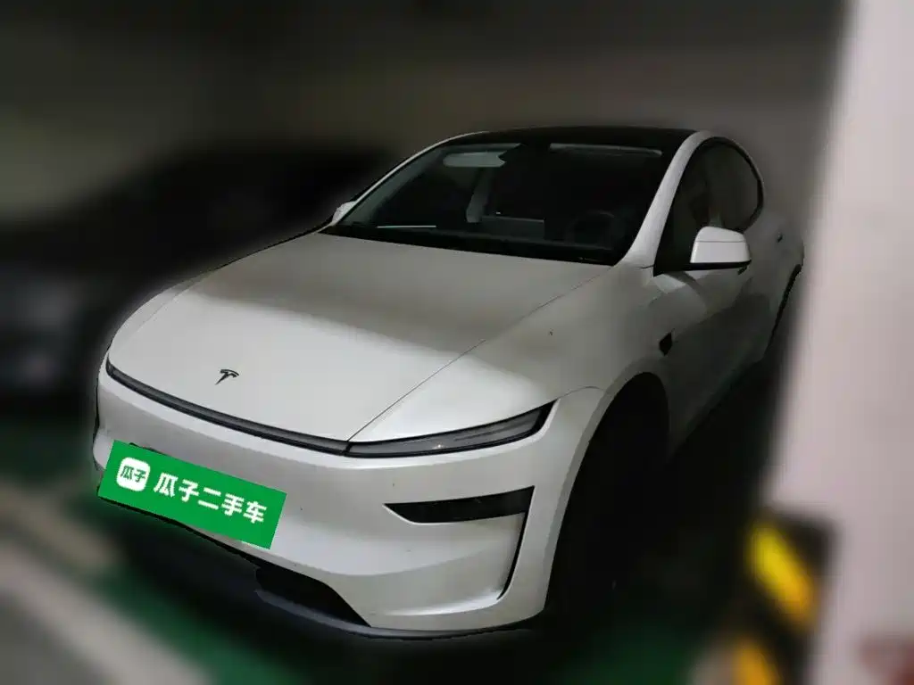 Tesla Model Y — миниатюра 2
