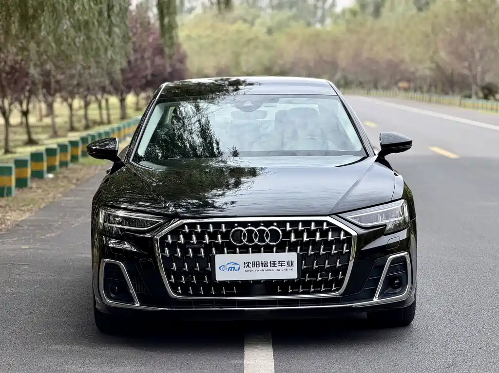 Audi A8 — миниатюра 2