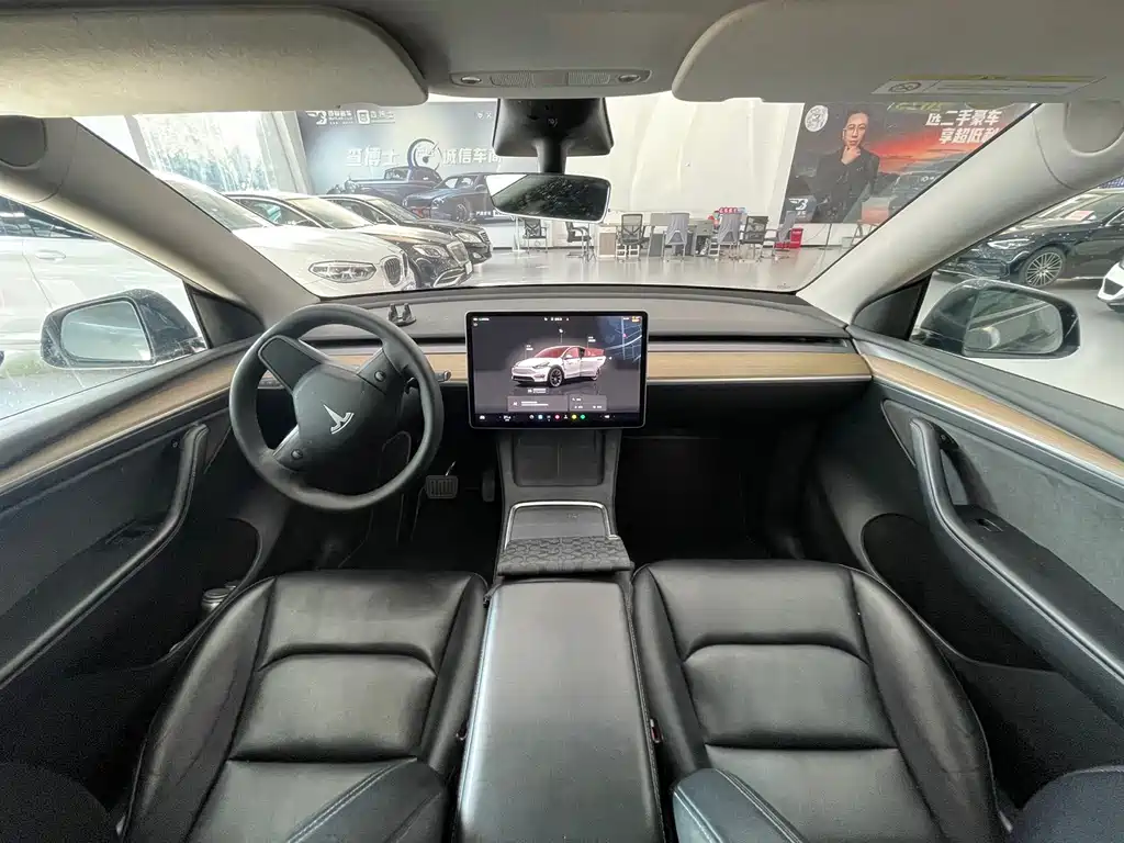 Tesla Model Y — миниатюра 8
