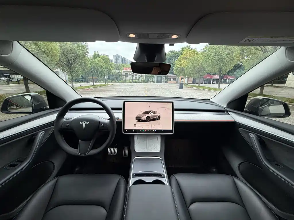 Tesla Model Y — миниатюра 12