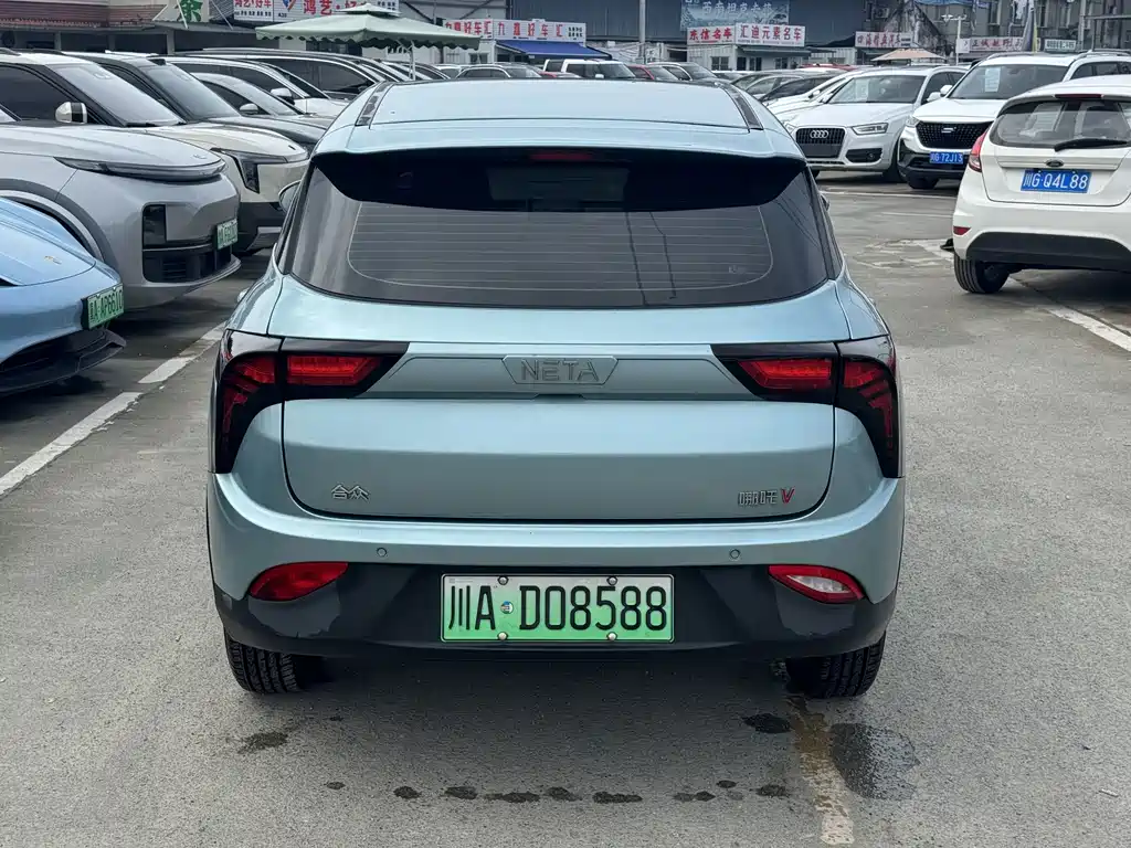 Neta Neta V — миниатюра 5