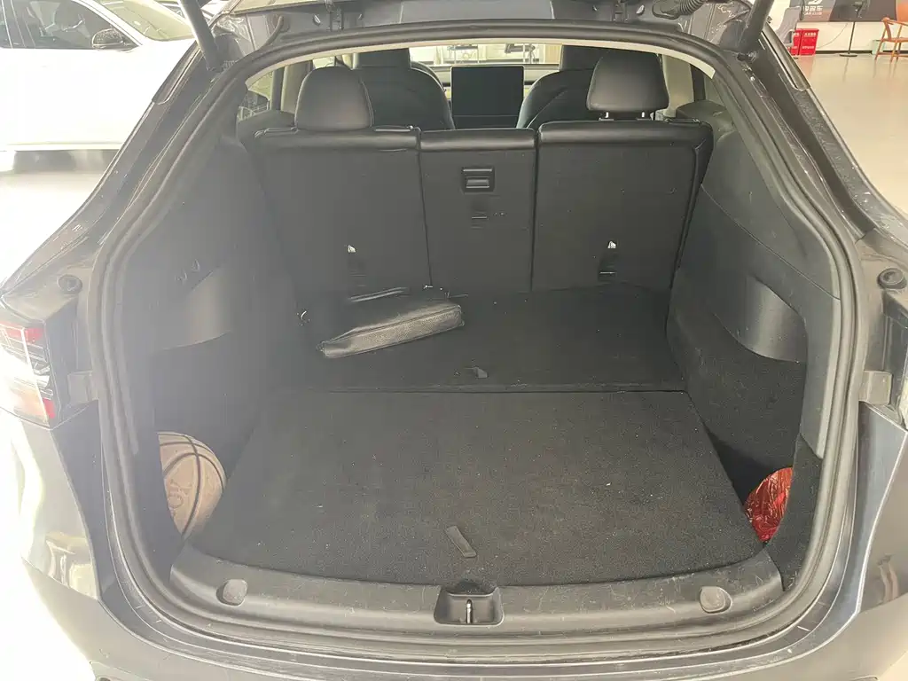 Tesla Model Y — миниатюра 11