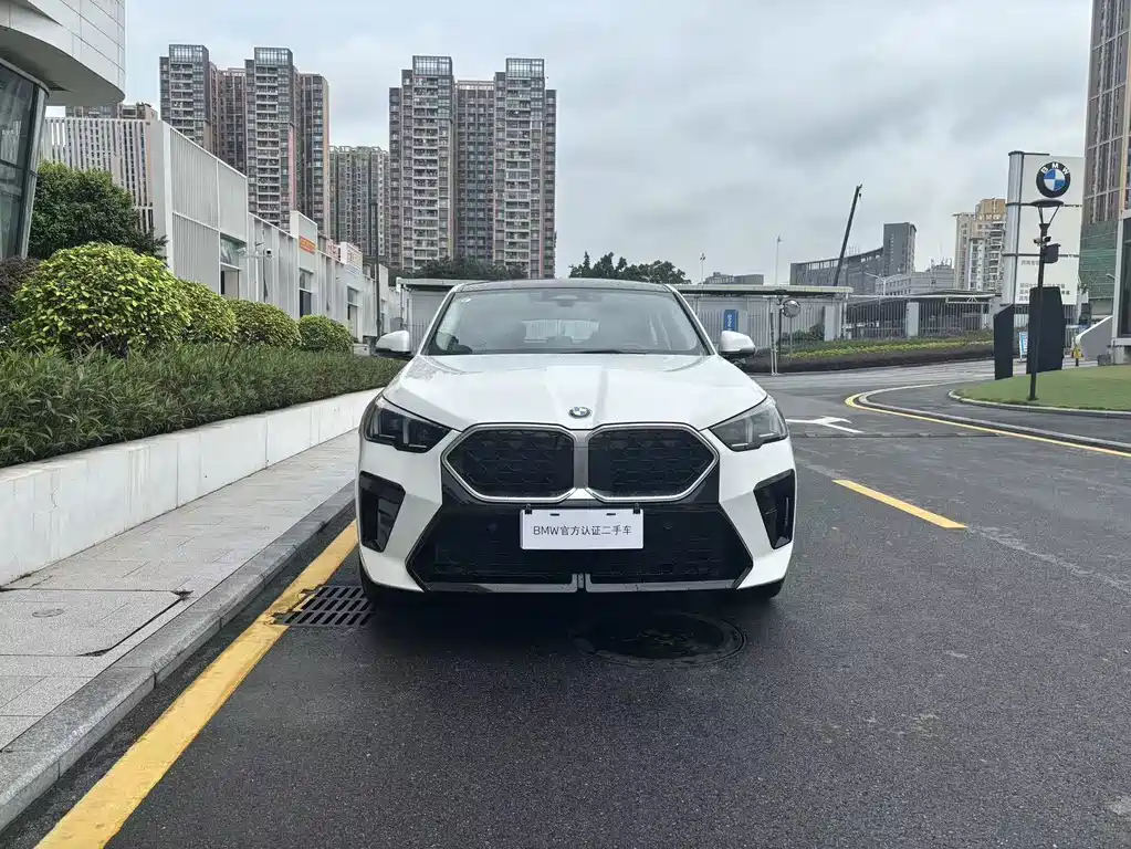 BMW X2 (Import) — миниатюра 2