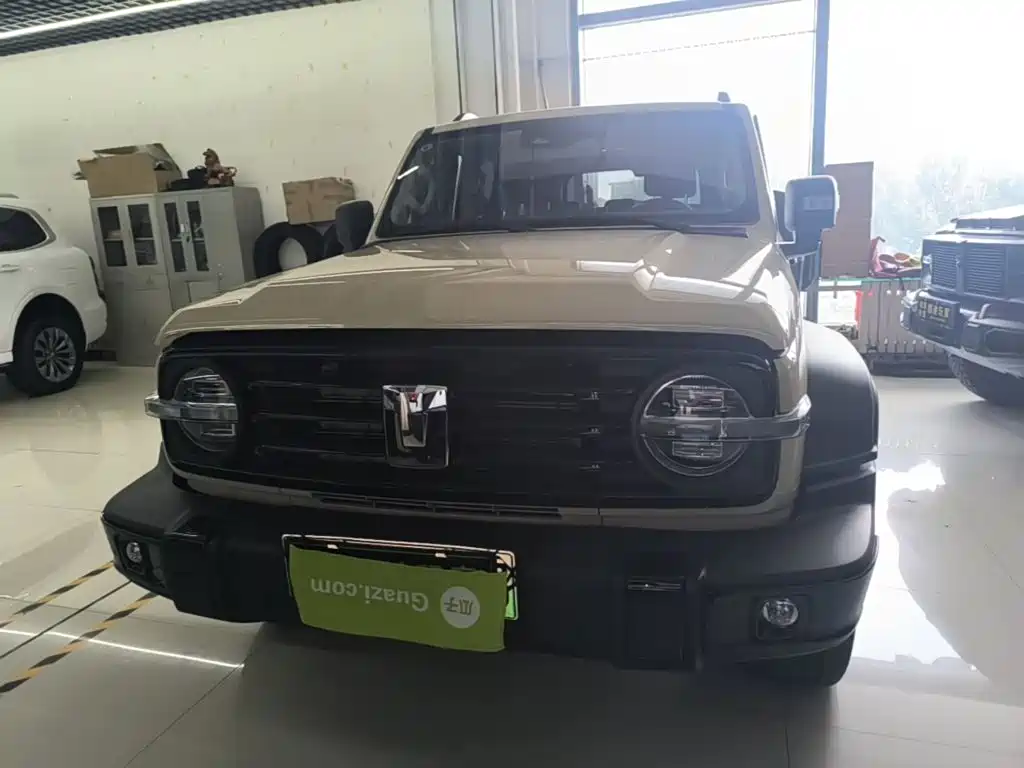 Tank Tank 300 New Energy — миниатюра 3