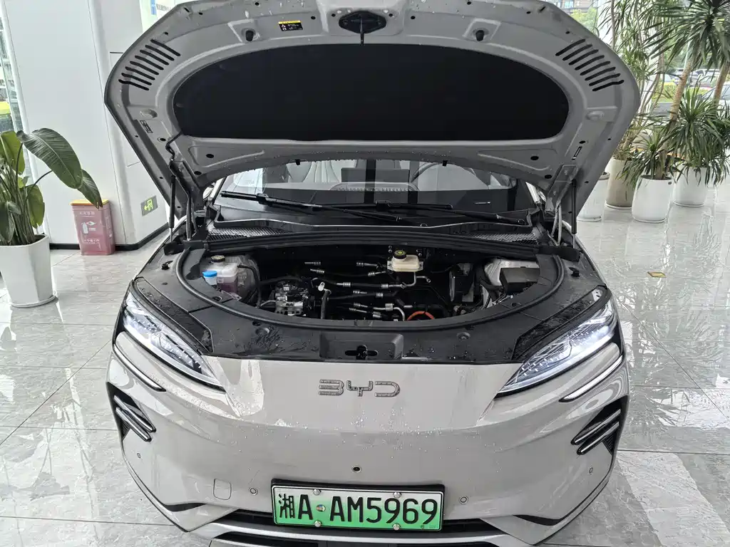 BYD SONGJIANG NEW ENERGY