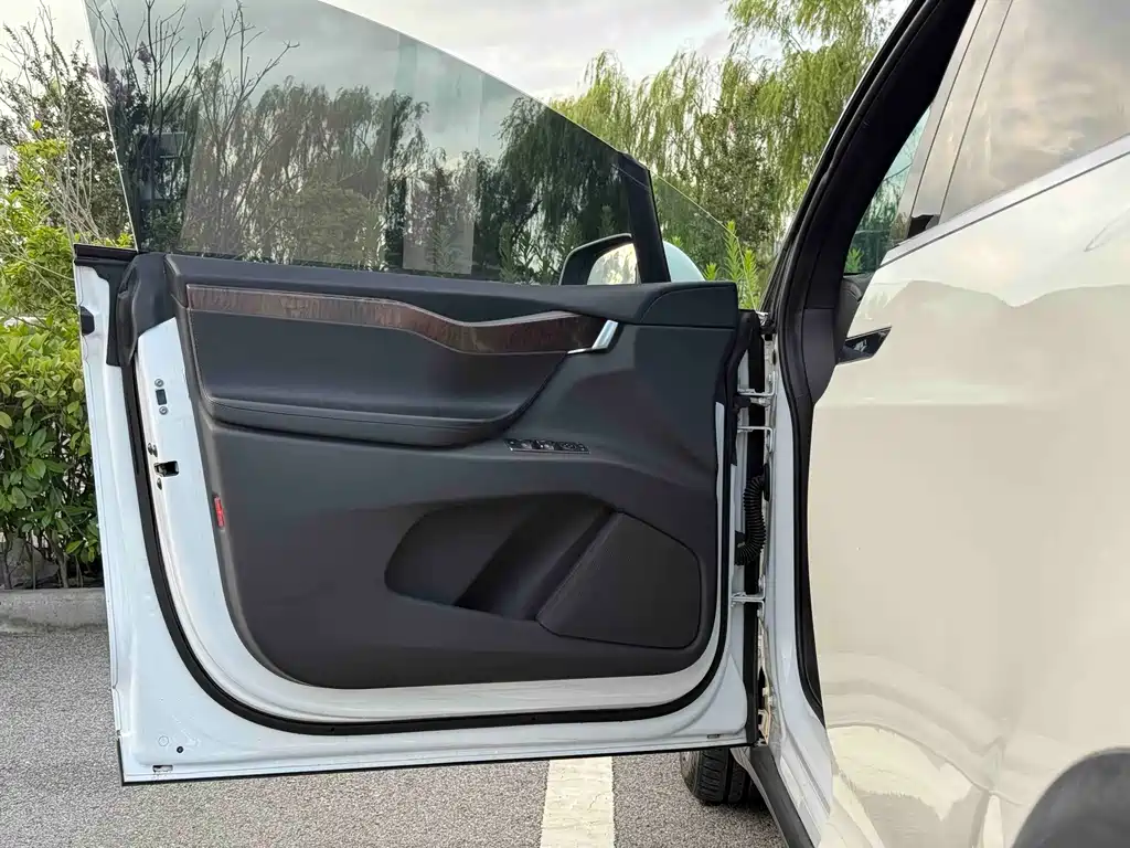 Tesla Model X — миниатюра 8