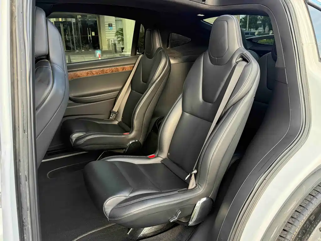 Tesla Model X — миниатюра 11