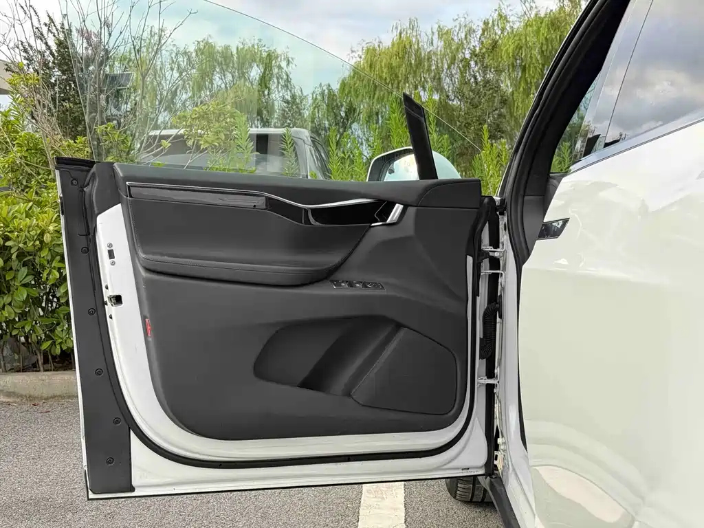 Tesla Model X — миниатюра 10