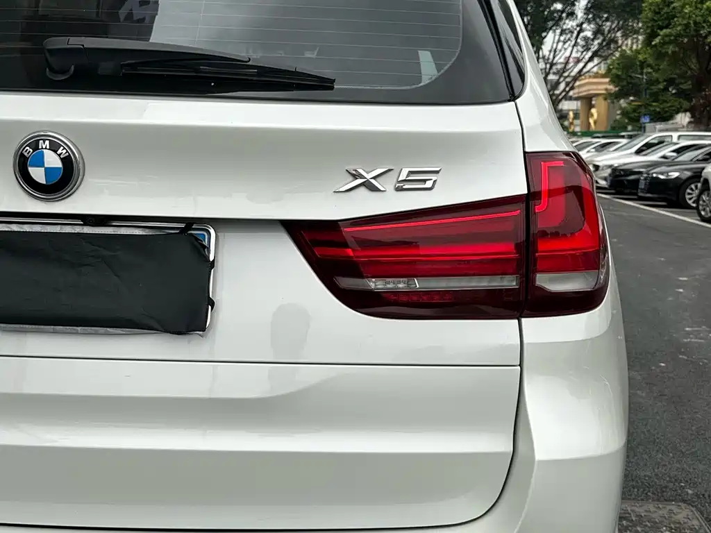 BMW X5 (Import) — миниатюра 22