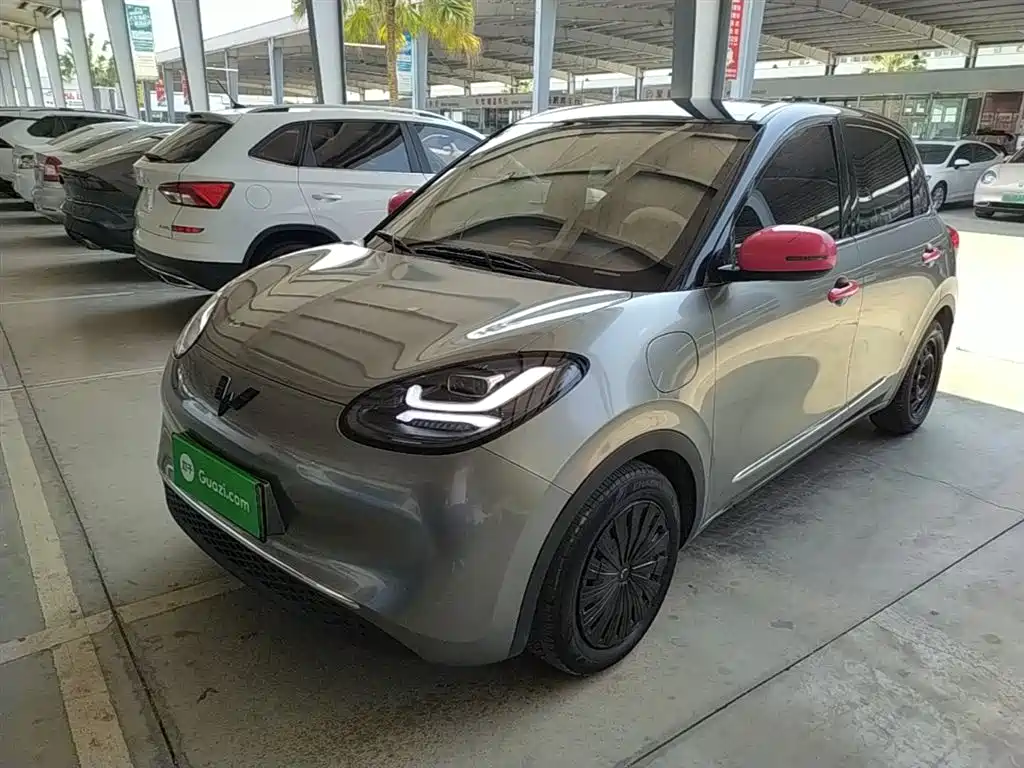 Wuling Bingo 2024