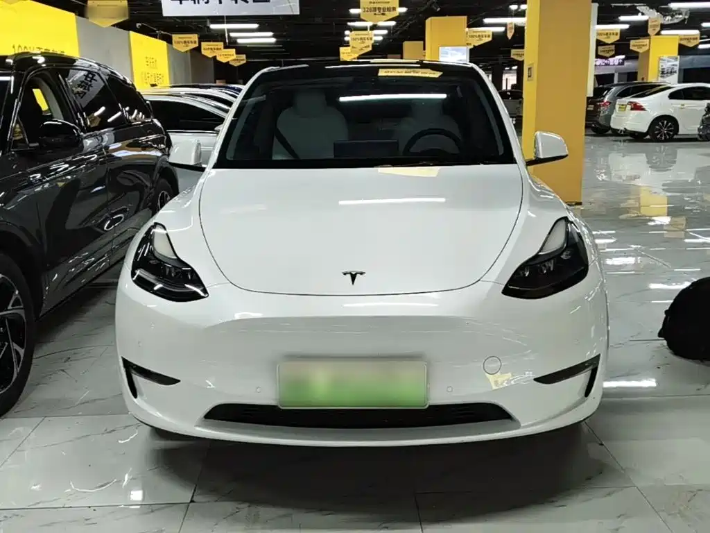 Tesla Model Y — миниатюра 3