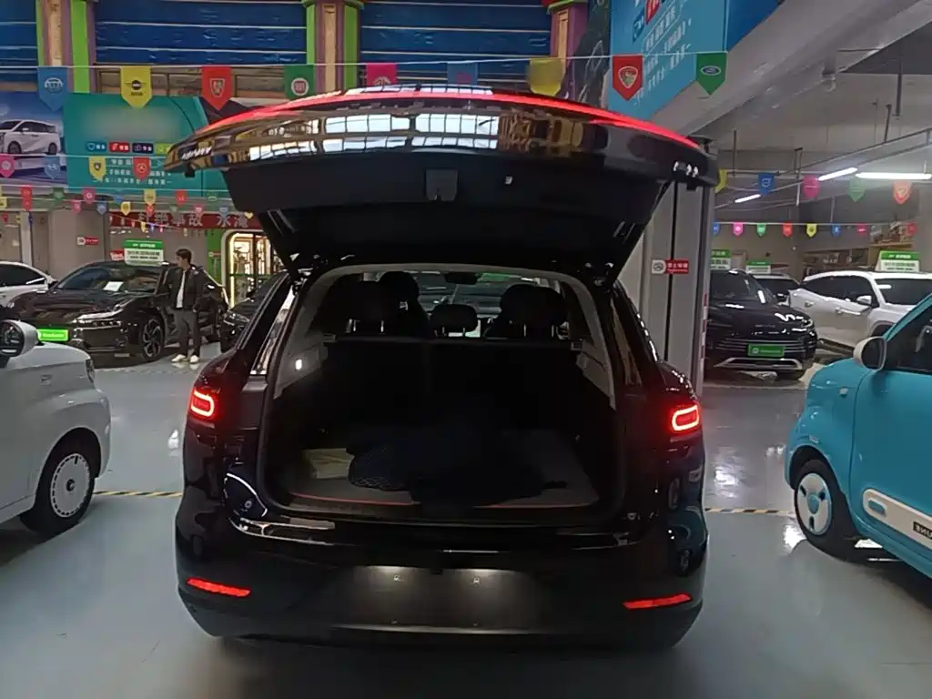 Leapmotor Leapmotor C11 — миниатюра 19