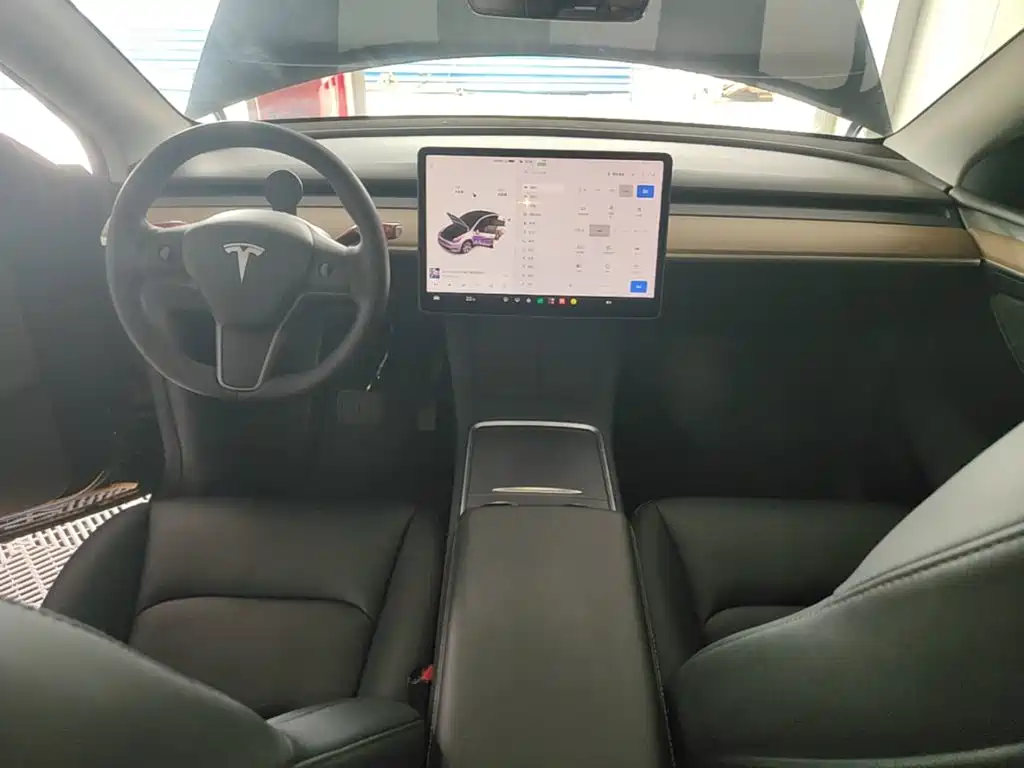 Tesla Model Y — миниатюра 10