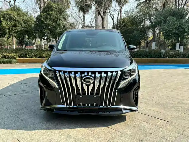 GAC Trumpchi 传祺M8