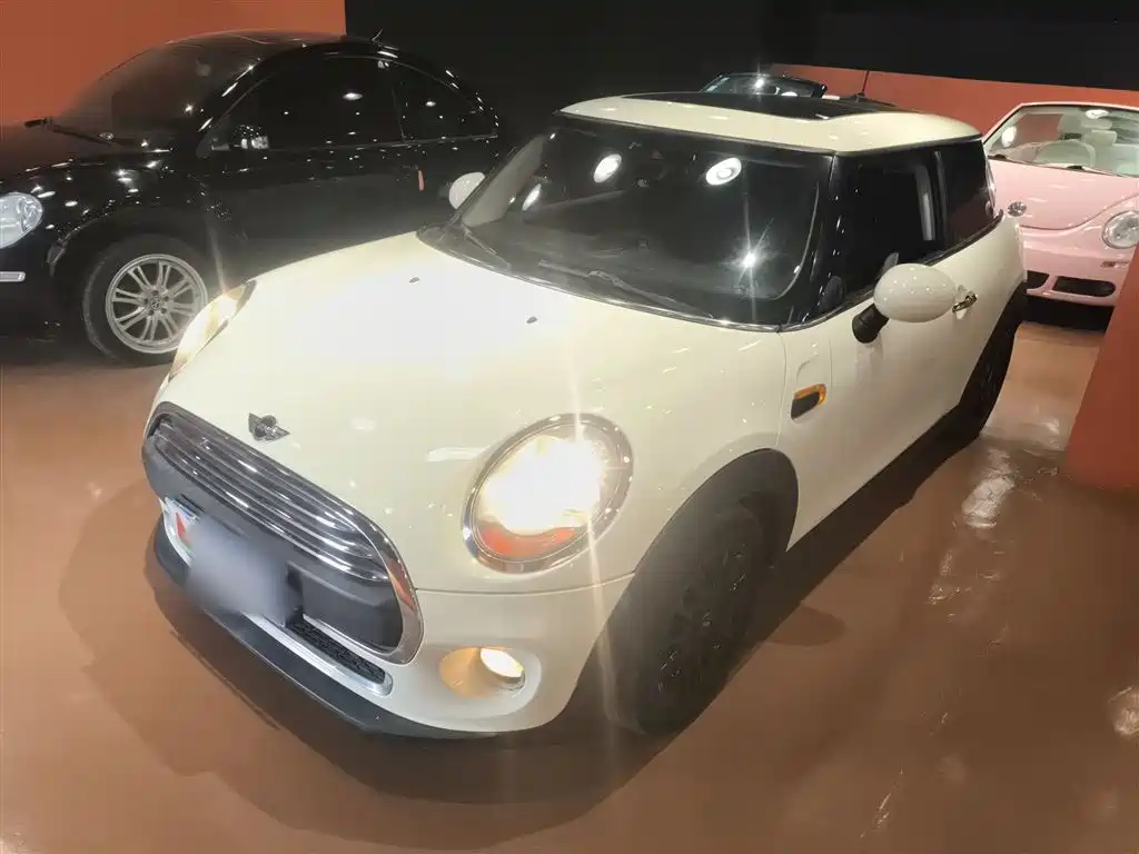 Mini Mini 2015