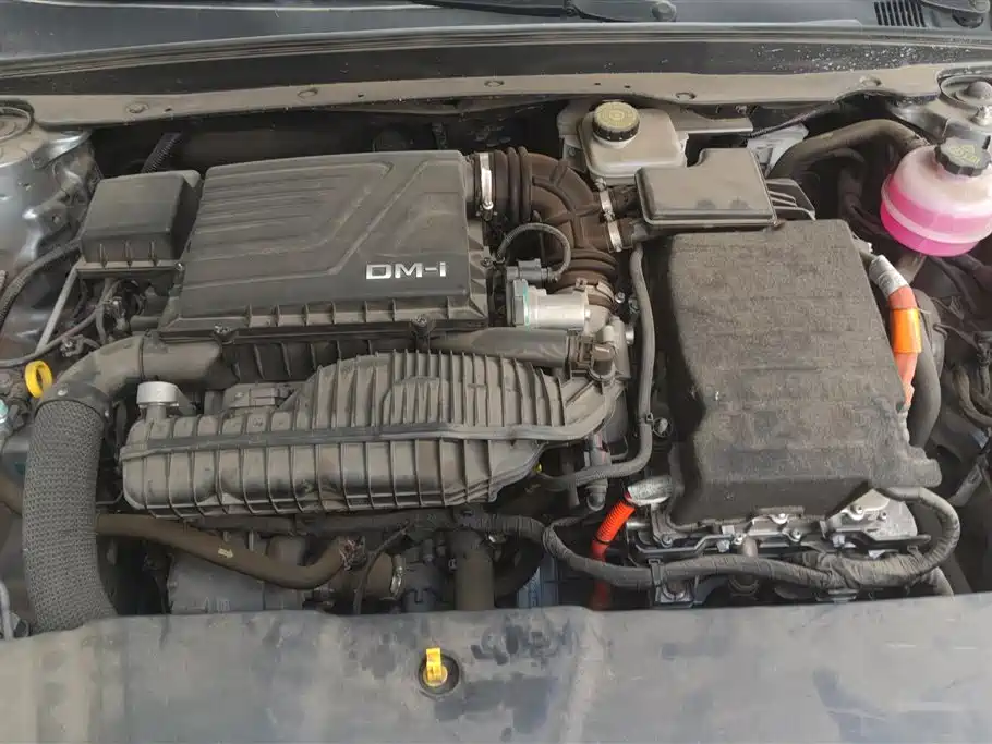 BYD Qin Plus PLUS 2025 DM-i Smart Drive 55KM Lead