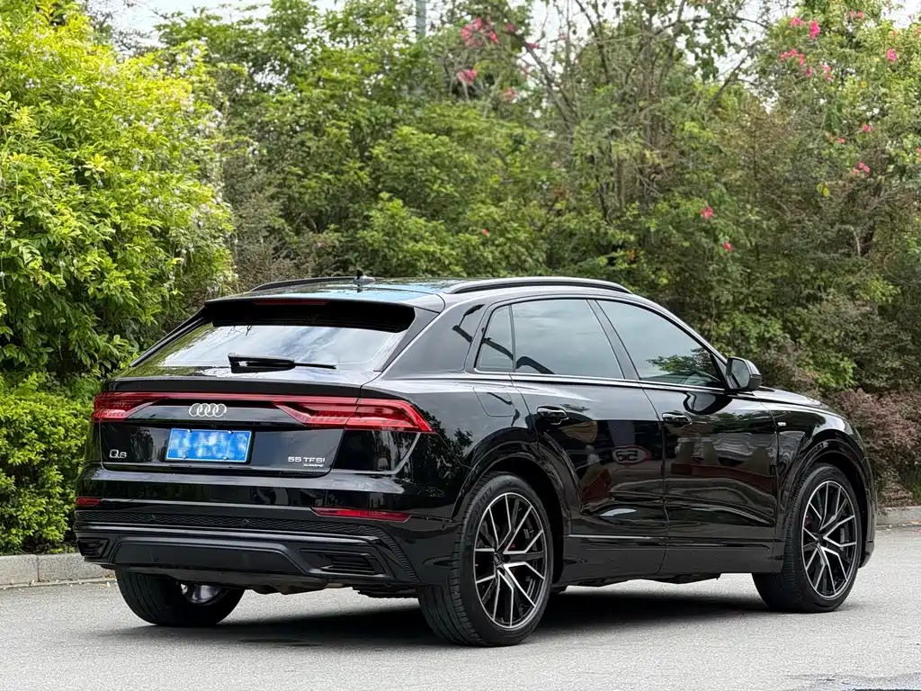 Audi Q8 — миниатюра 8