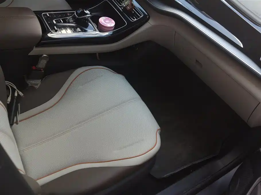 BYD Qin Plus PLUS 2025 DM-i Smart Drive 55KM Lead