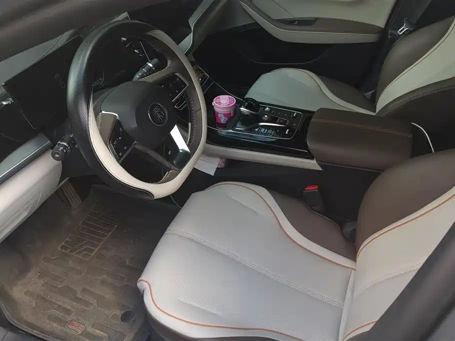 BYD Qin Plus PLUS 2025 DM-i Smart Drive 55KM Lead