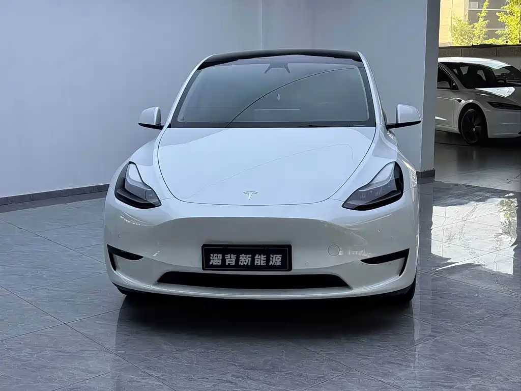 Tesla Model Y — миниатюра 2