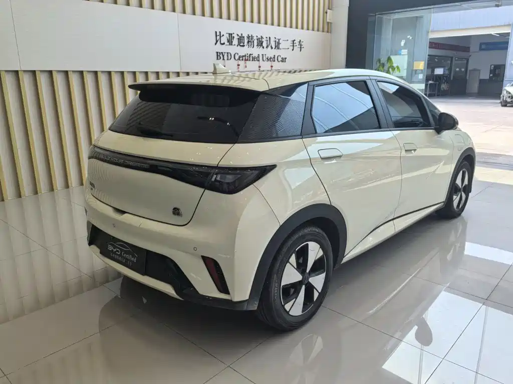 BYD Dolphin — миниатюра 6