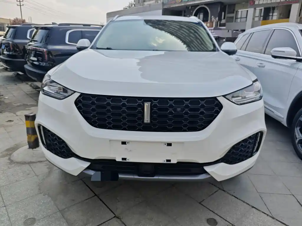 WEI PAI WEI BRAND VV6