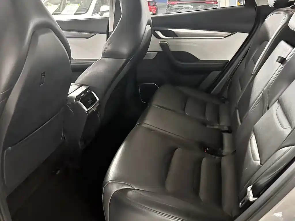 Weltmeister WEIMA EX5