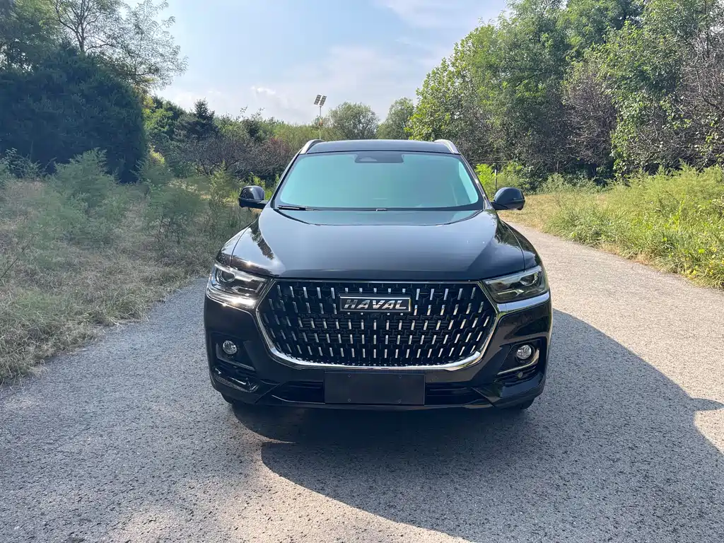 Haval H6 — миниатюра 2
