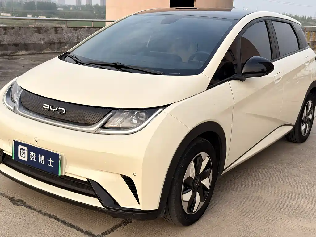 Byd Dolphin 2024